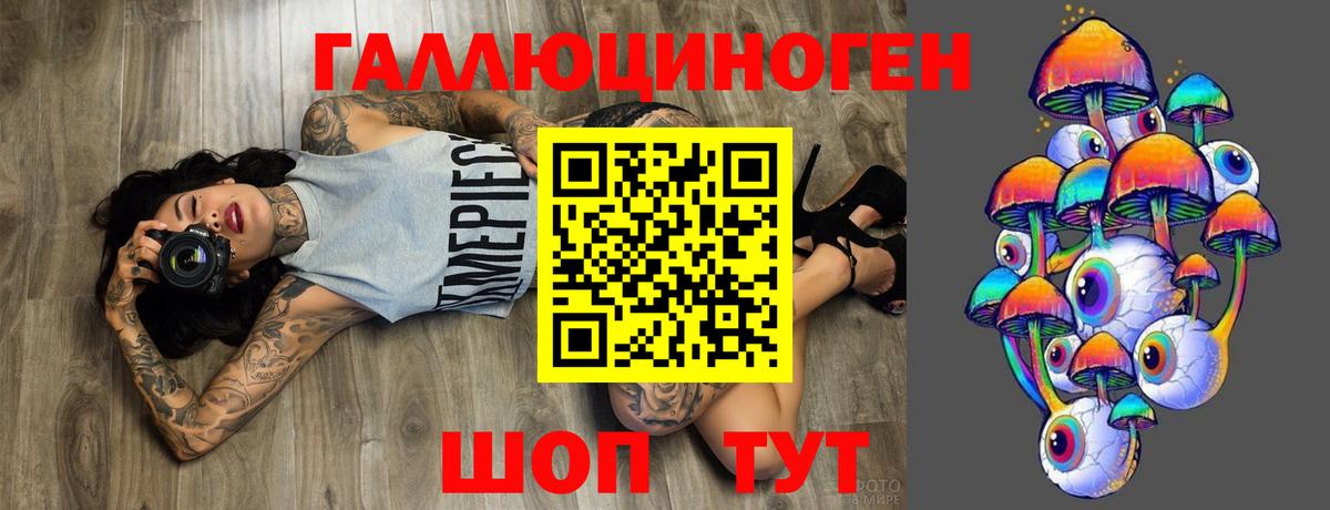 Кингисепп  Псилоцибиновые грибы ЛСД  Псилоцибиновые грибы Psilocybe  Вход с VPN 